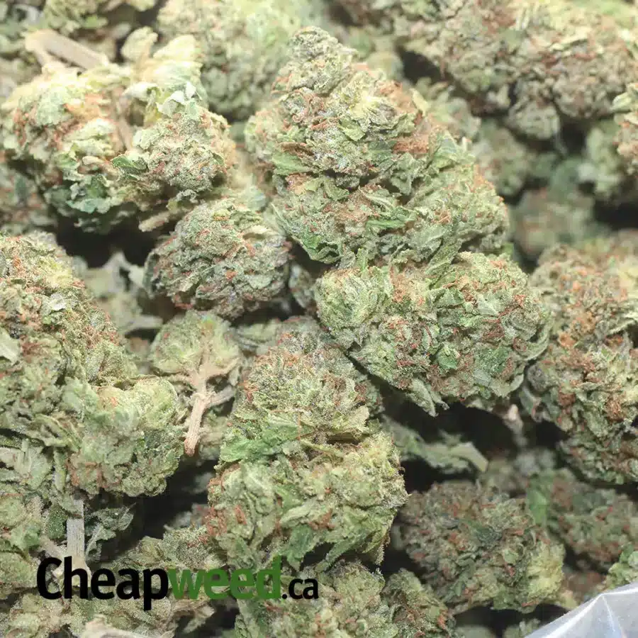 LA CONFIDENTIAL 1 I LA Confidential