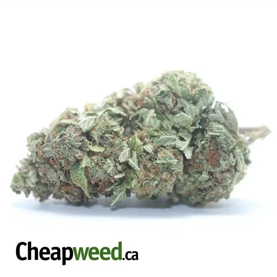 LA Confidential