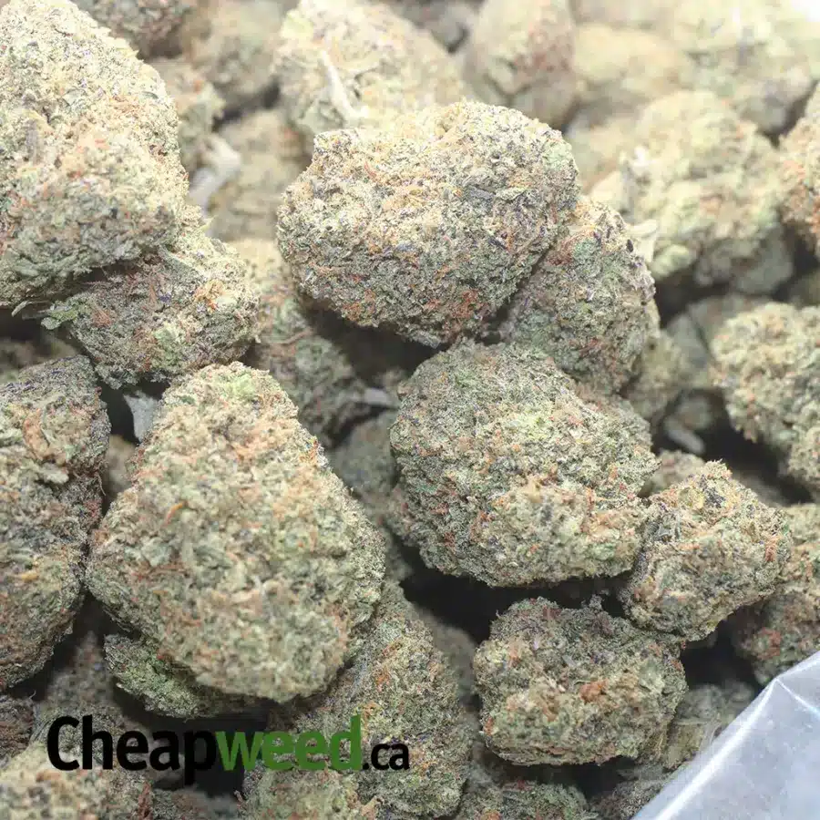 LA KUSH CAKE 1 I LA Kush Cakes