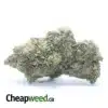 Lindsay OG