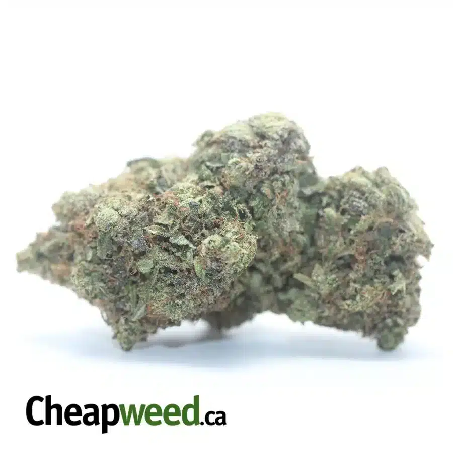 Lindsay OG