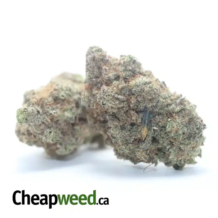 Alternative view of MAC10 x GMO Cookies