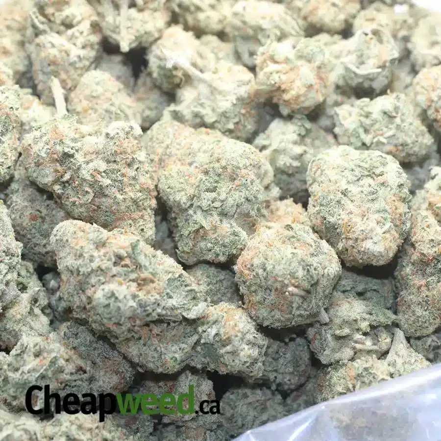 MAC COOKIES 1 I M.A.C Cookies
