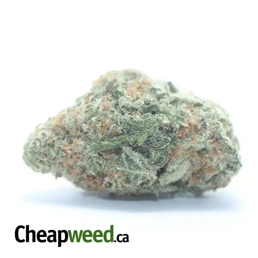 M.A.C Cookies