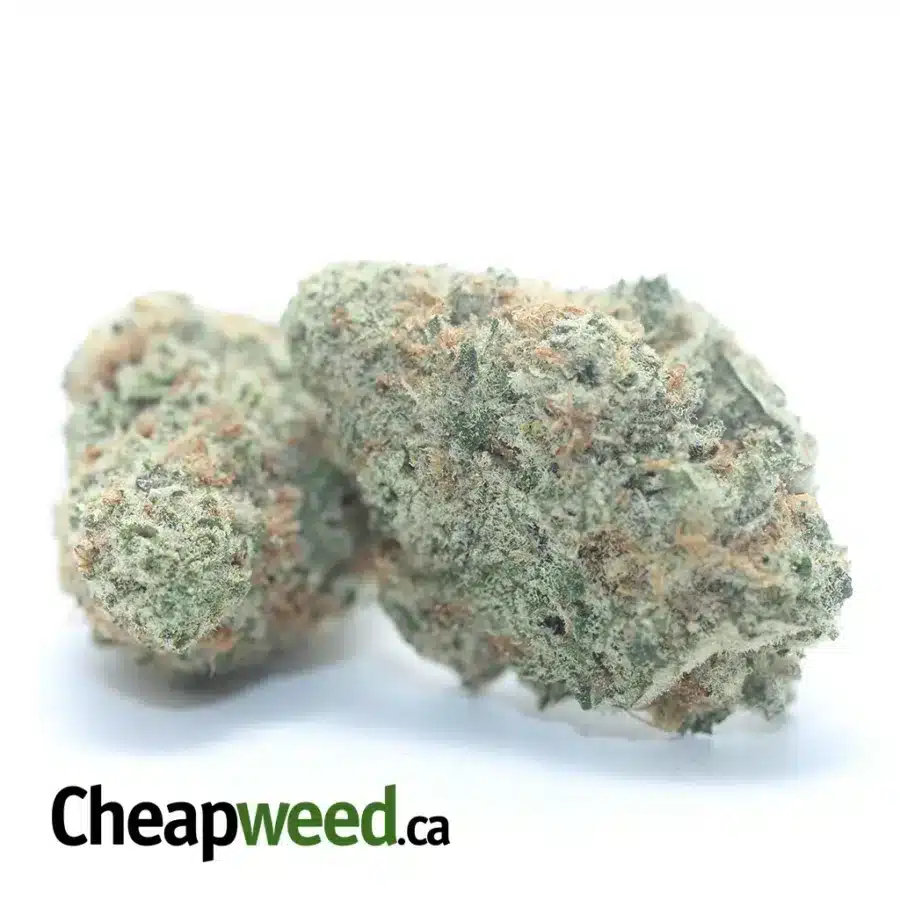 Alternative view of M.A.C Cookies