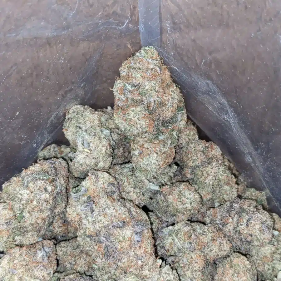 MAC10 x GMO Cookies - Image 7