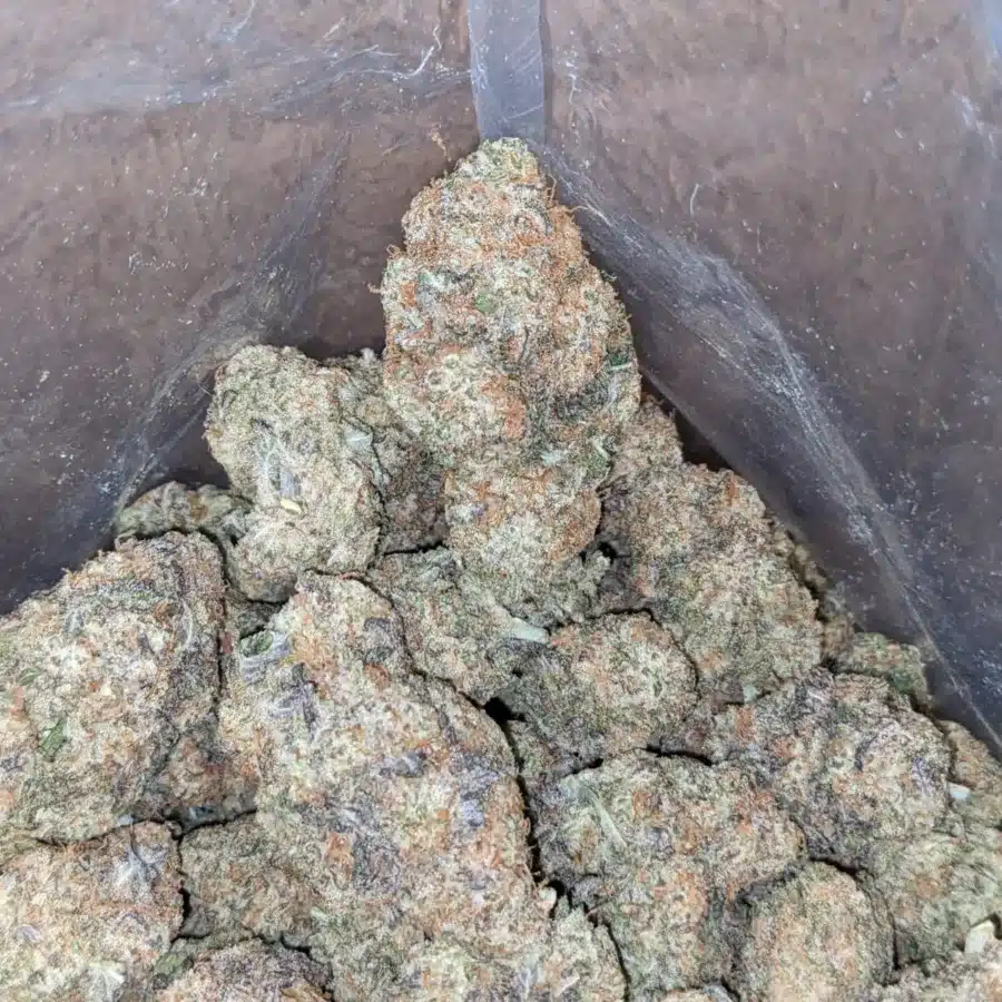 MAC10 x GMO Cookies - Image 6