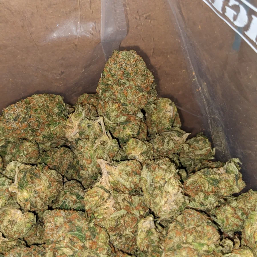Alternative view of Master Kush