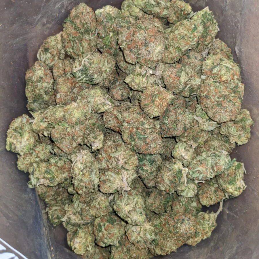 Master Kush - Image 5