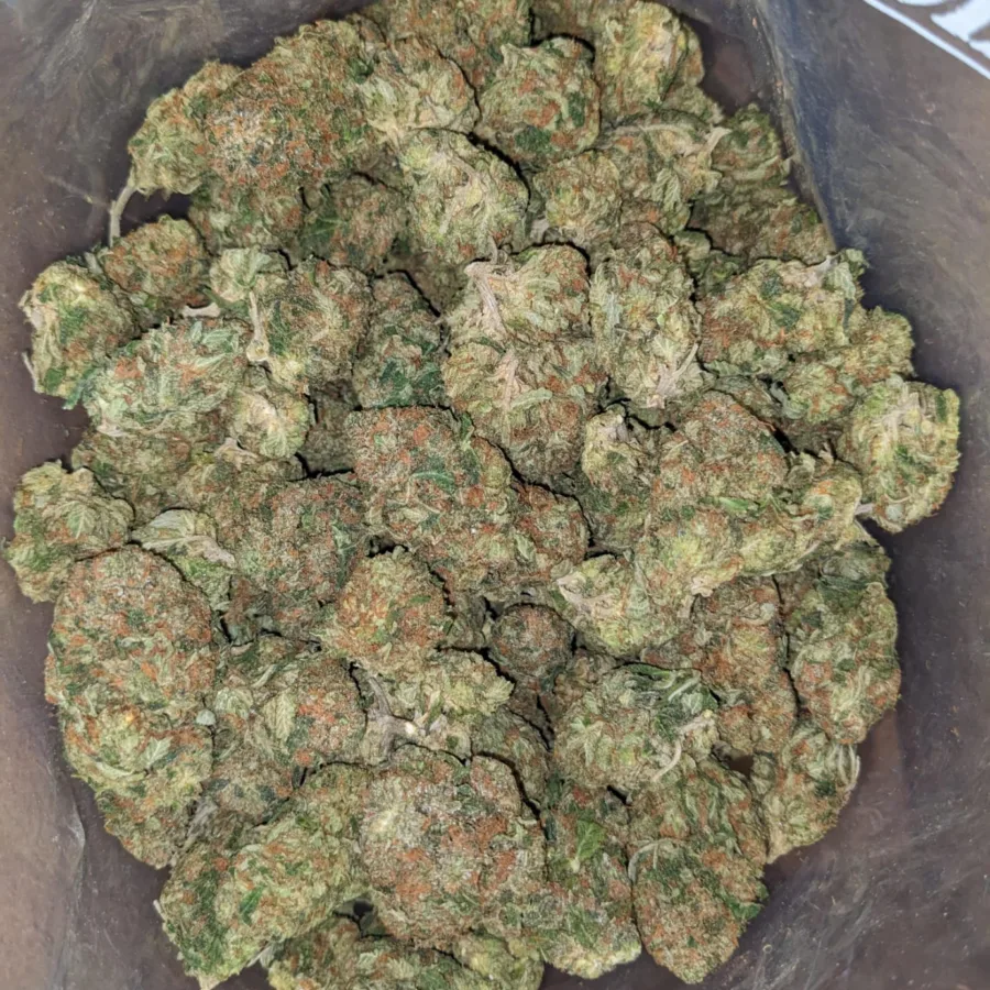 Master Kush