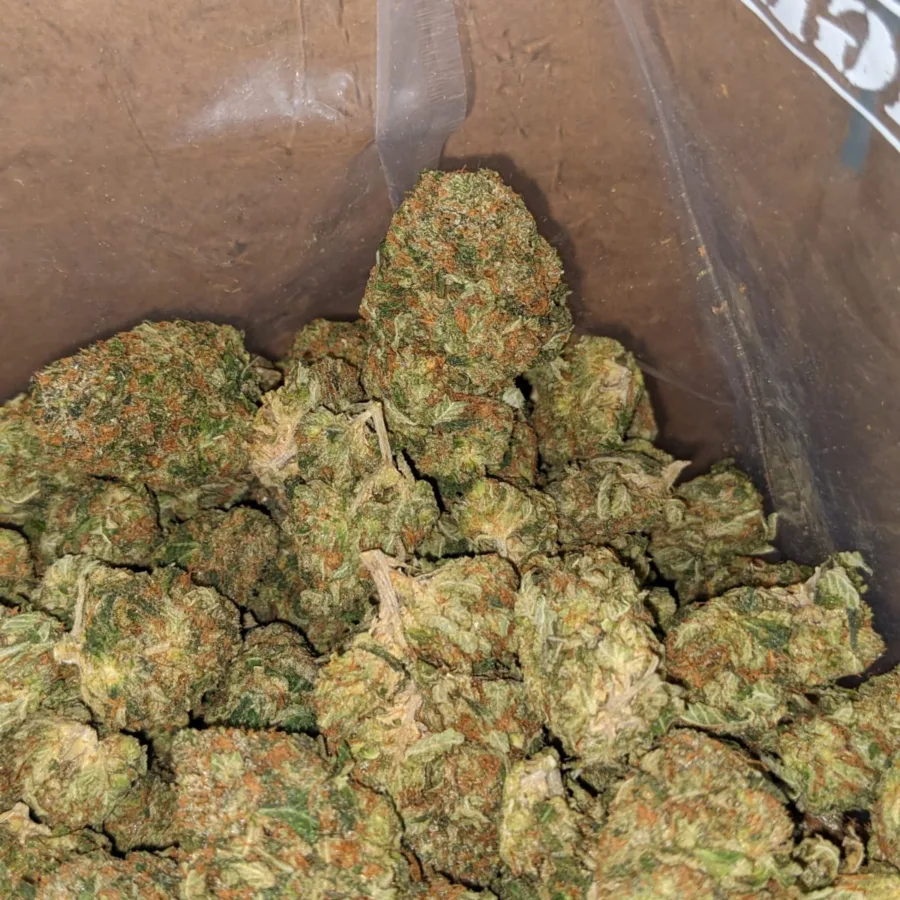 Master Kush - Image 3