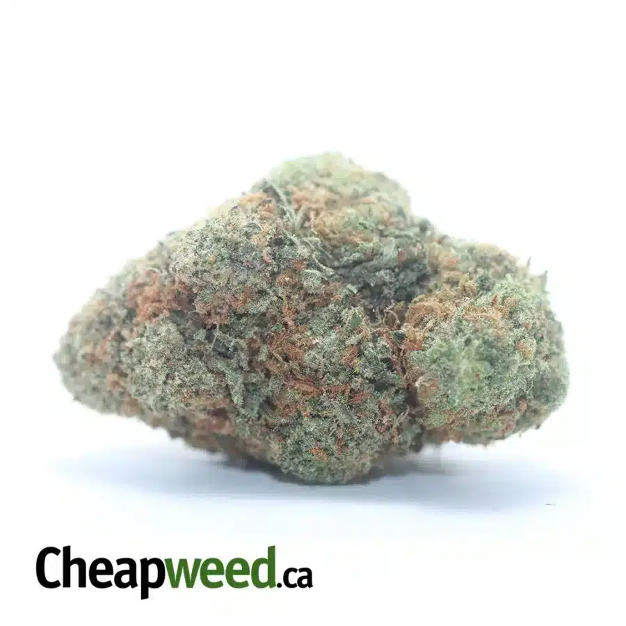 Orange Crack