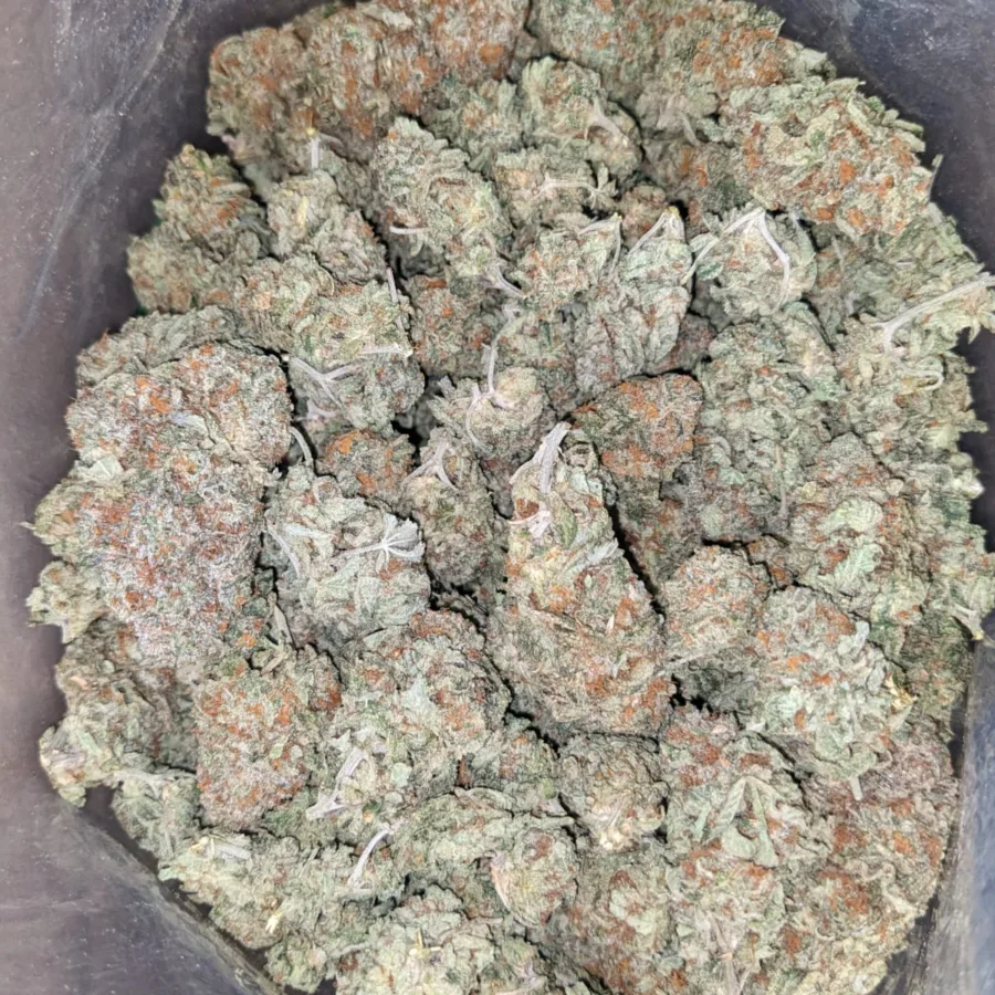 Orange Crack - Image 5