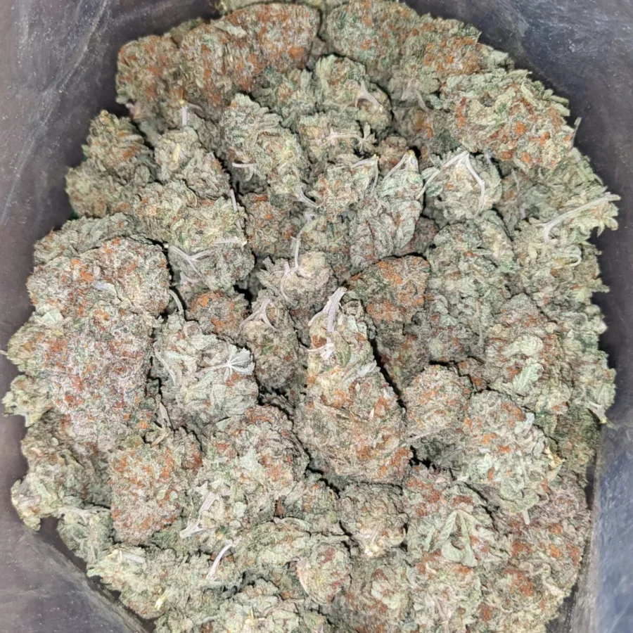 Orange Crack - Image 4