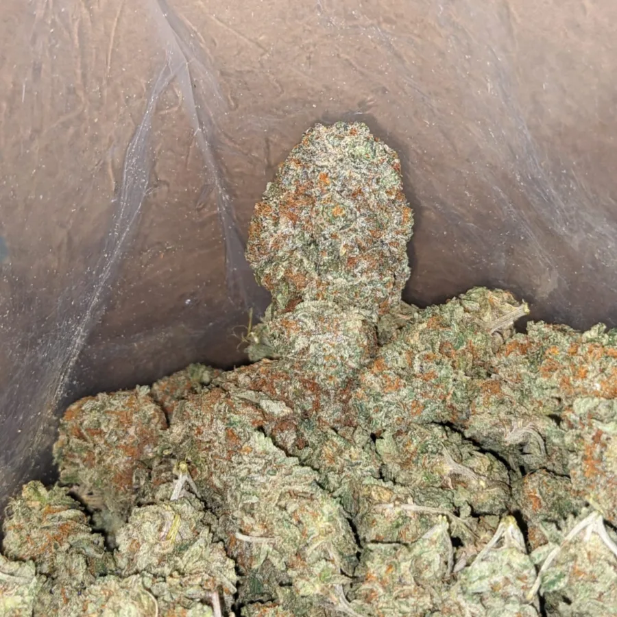 Orange Crack - Image 7