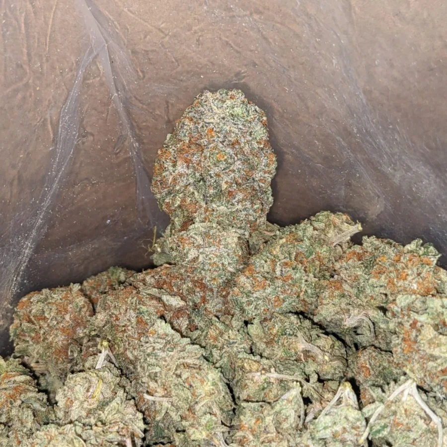 Orange Crack - Image 6