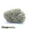 Pink OG