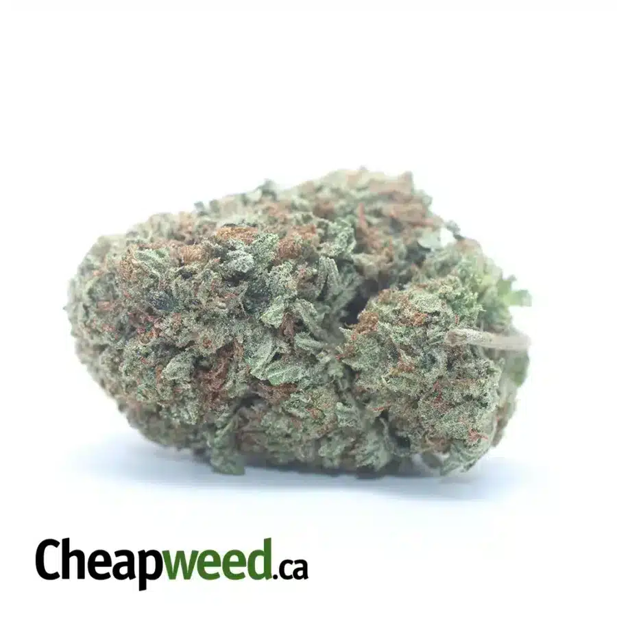Pink OG