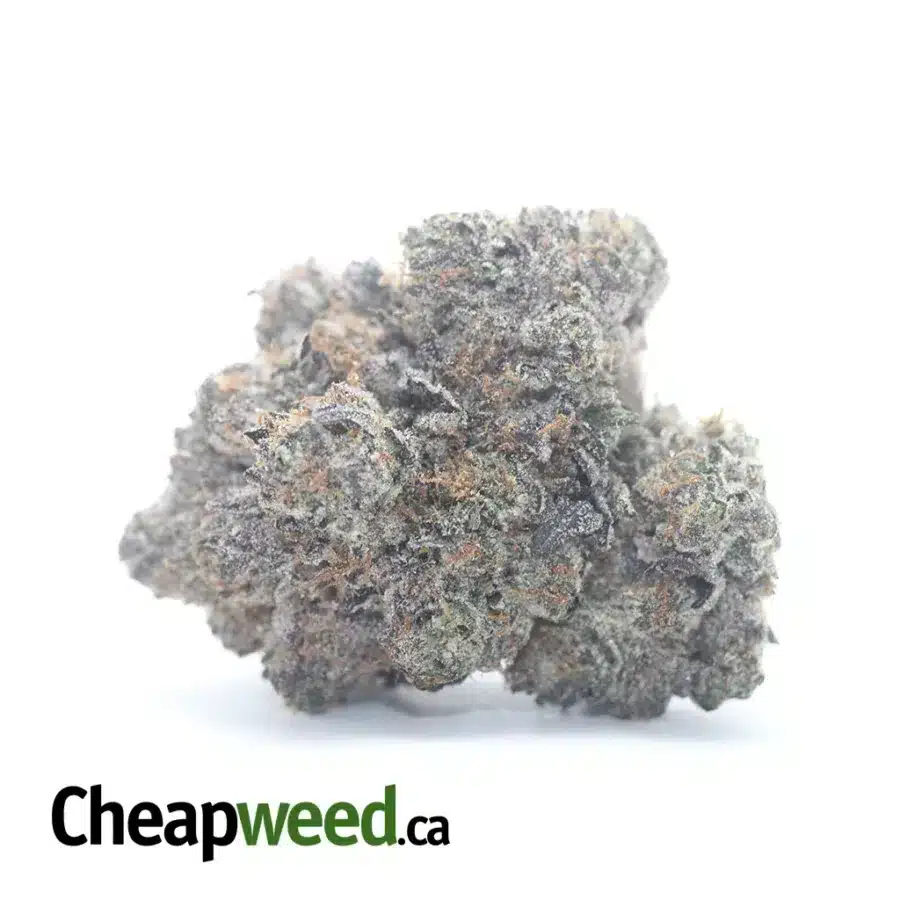 Pink Rockstar