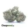 Pink Tuna Kush