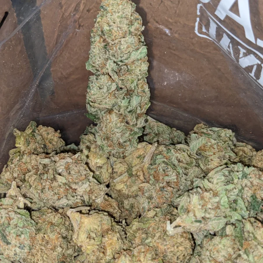 Alternative view of Pineapple