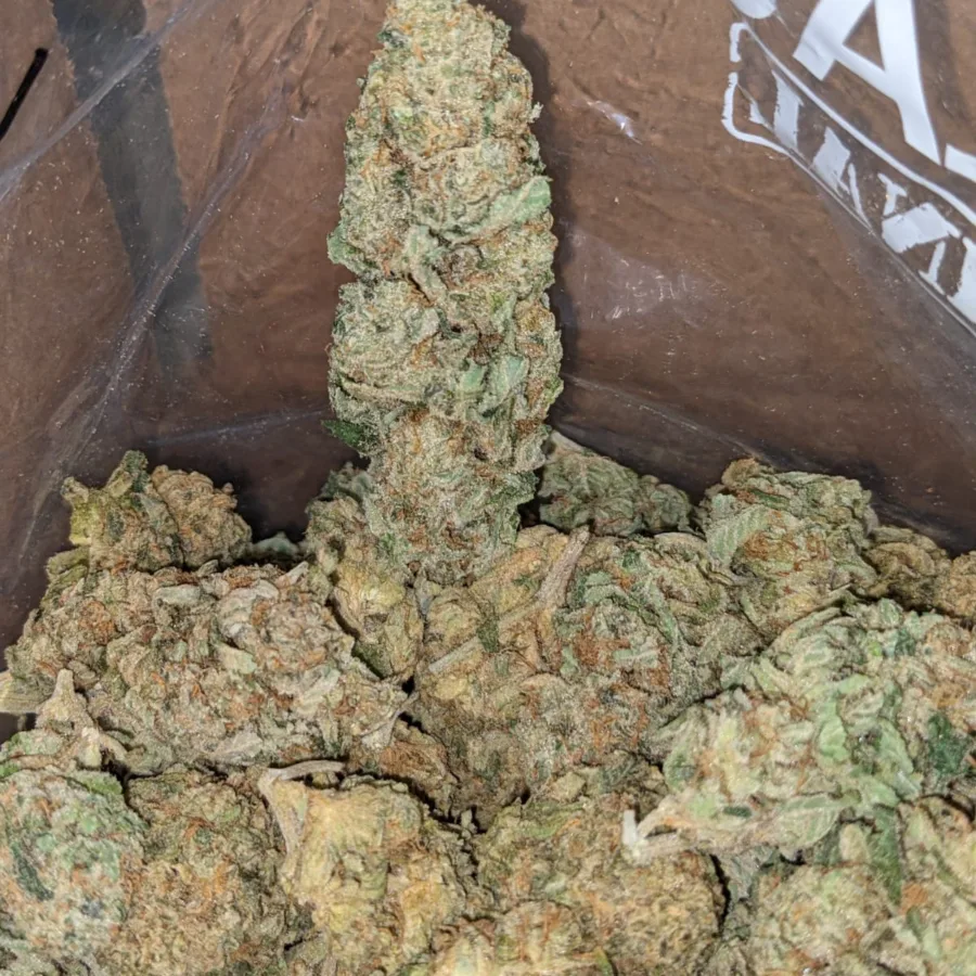 Pineapple - Image 7