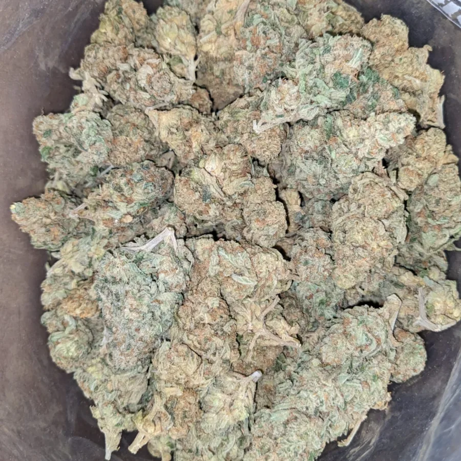 Pineapple - Image 6