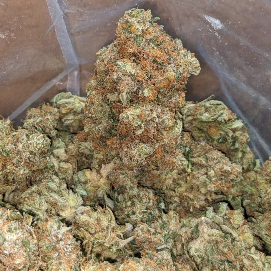 Pink Bubba - Image 5