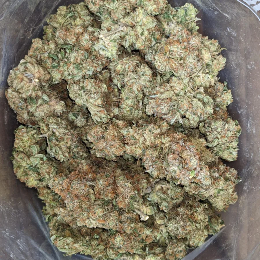 Alternative view of Pink Bubba
