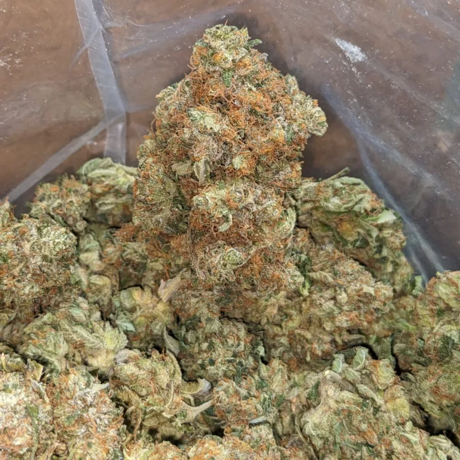 Pink Bubba - Image 4