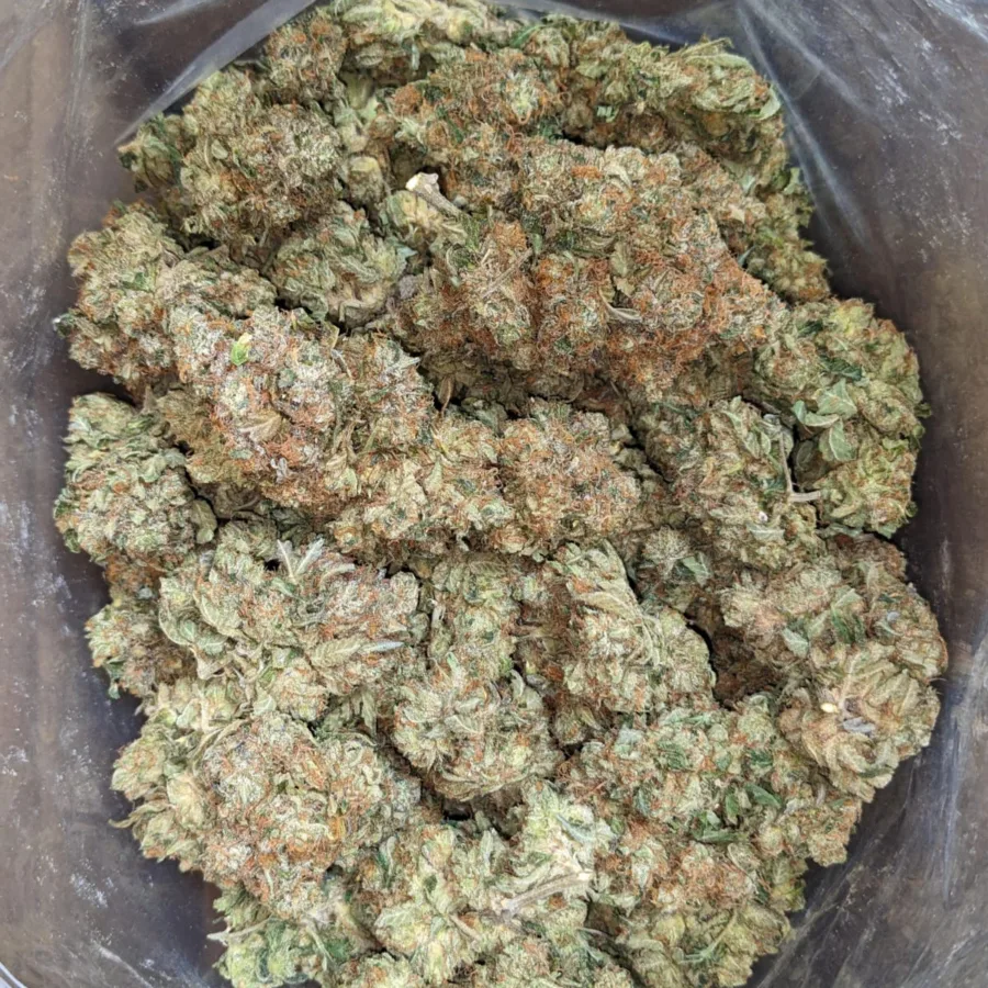 Pink Bubba