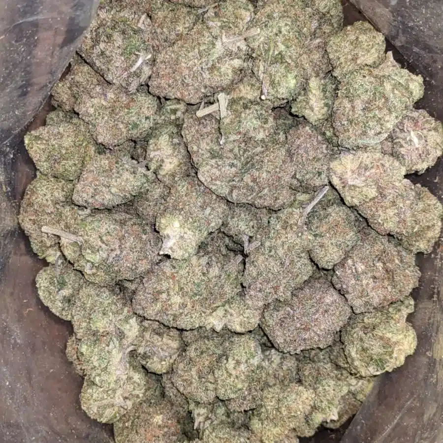 Plushberry