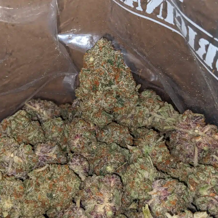 Purple Amnesia 1 I Purple Amnesia