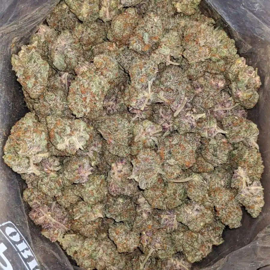 Purple Amnesia 2 I Purple Amnesia