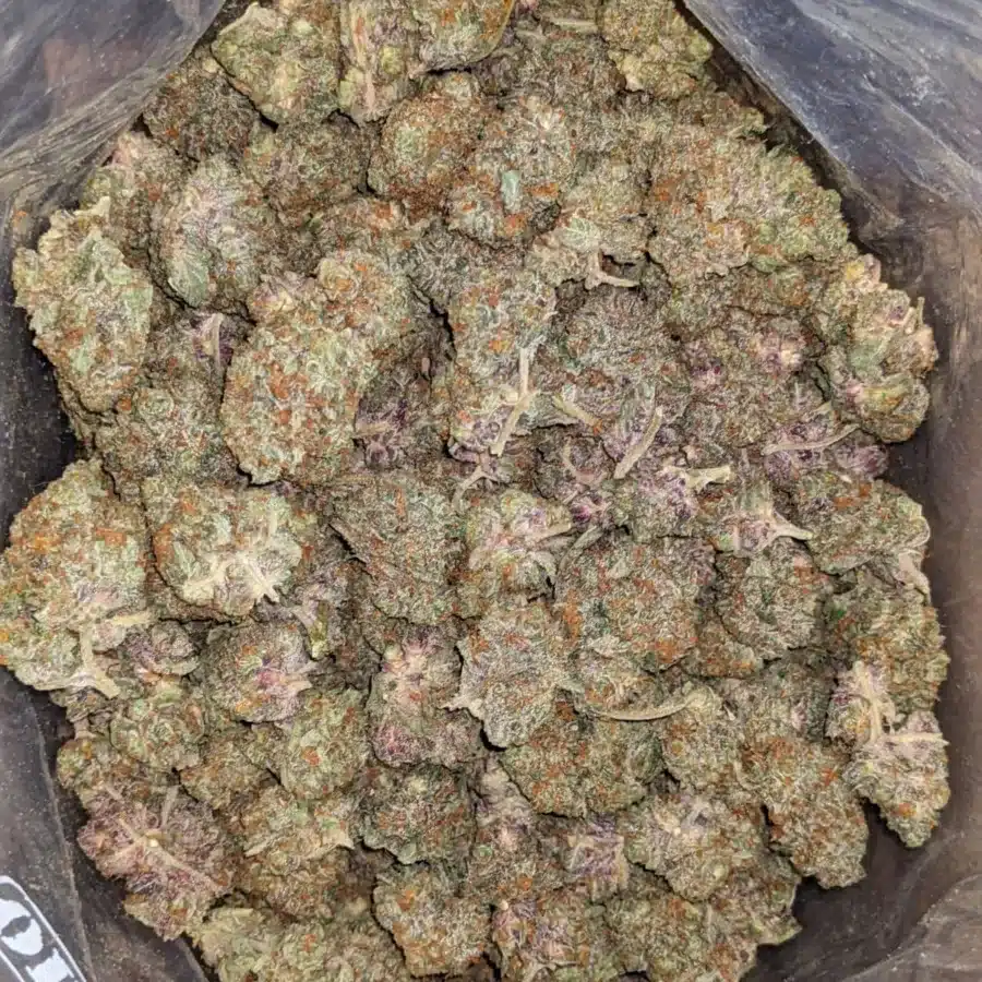 Purple Amnesia