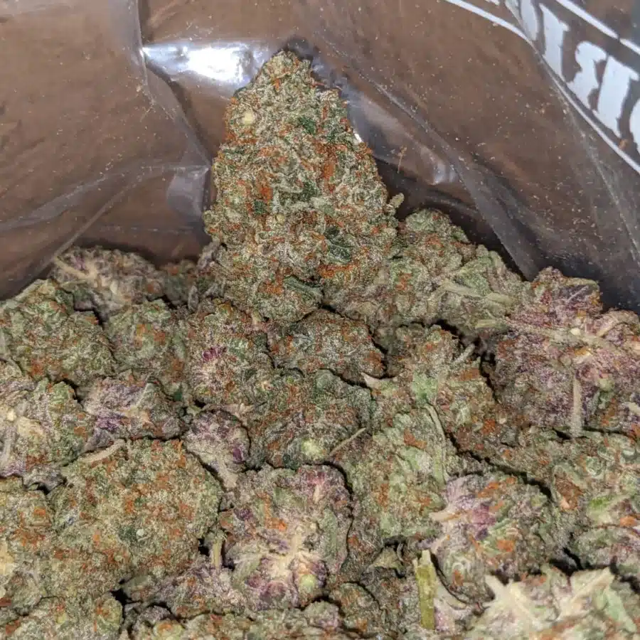 Alternative view of Purple Amnesia