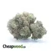 Rockstar Bubba