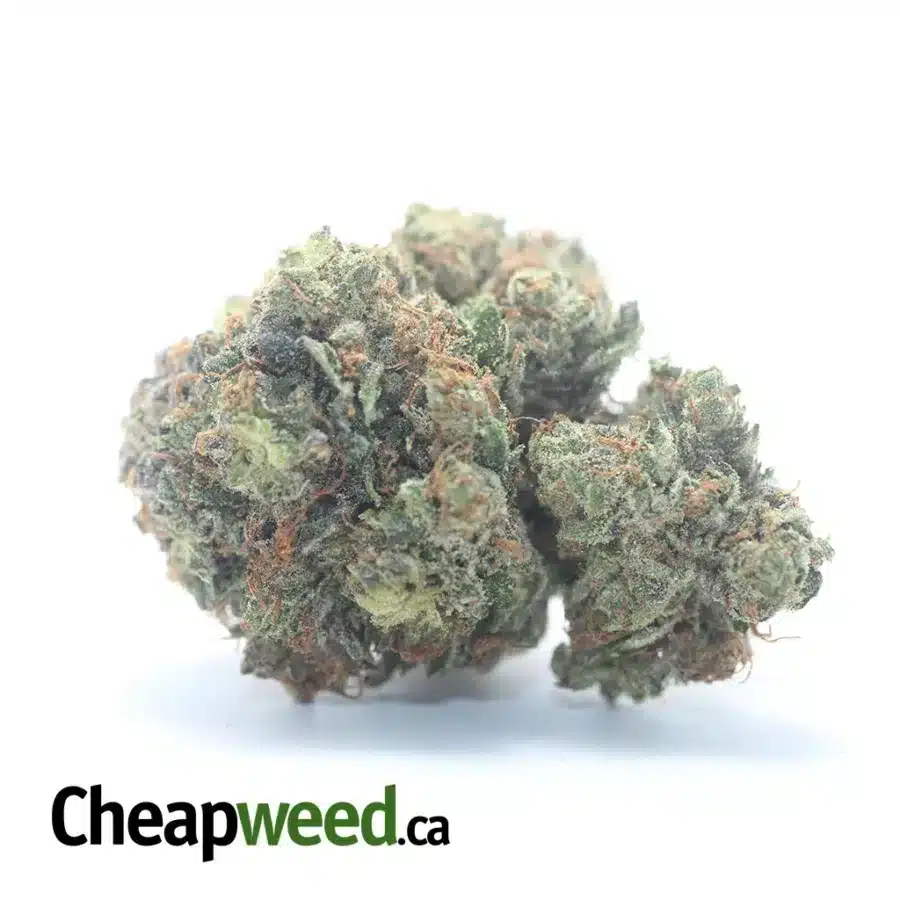 Rockstar Bubba
