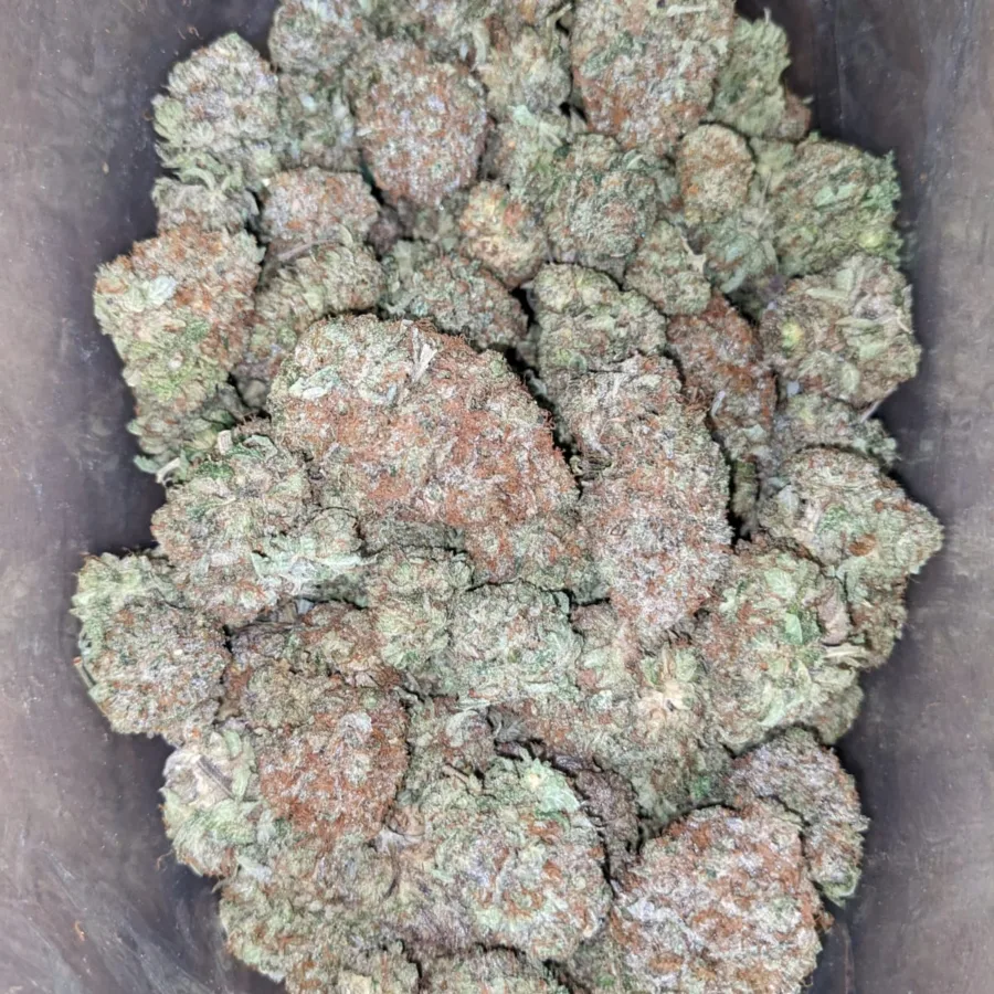 Alternative view of Rockstar