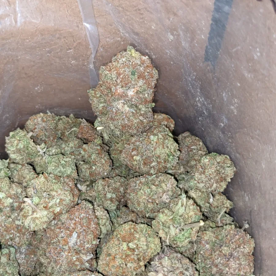 Rockstar Bubba - Image 3