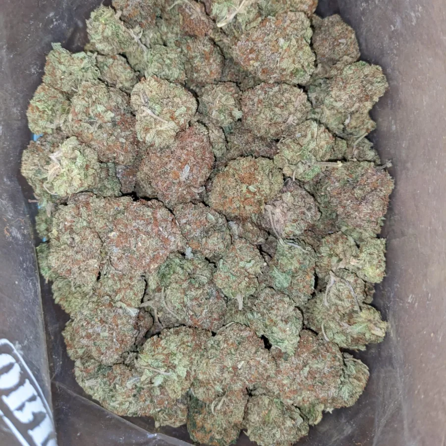 Rockstar Bubba - Image 5