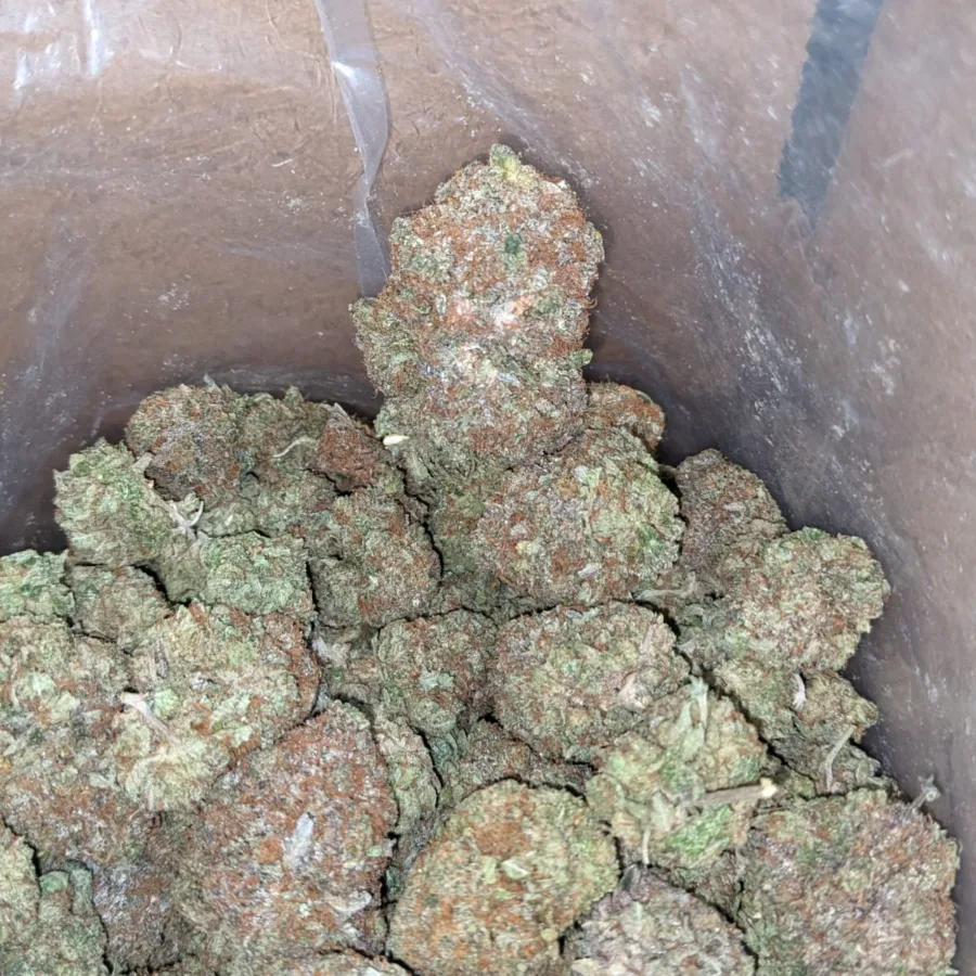 Rockstar Bubba - Image 4
