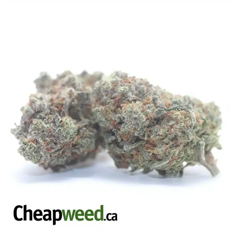 Alternative view of Super Pink