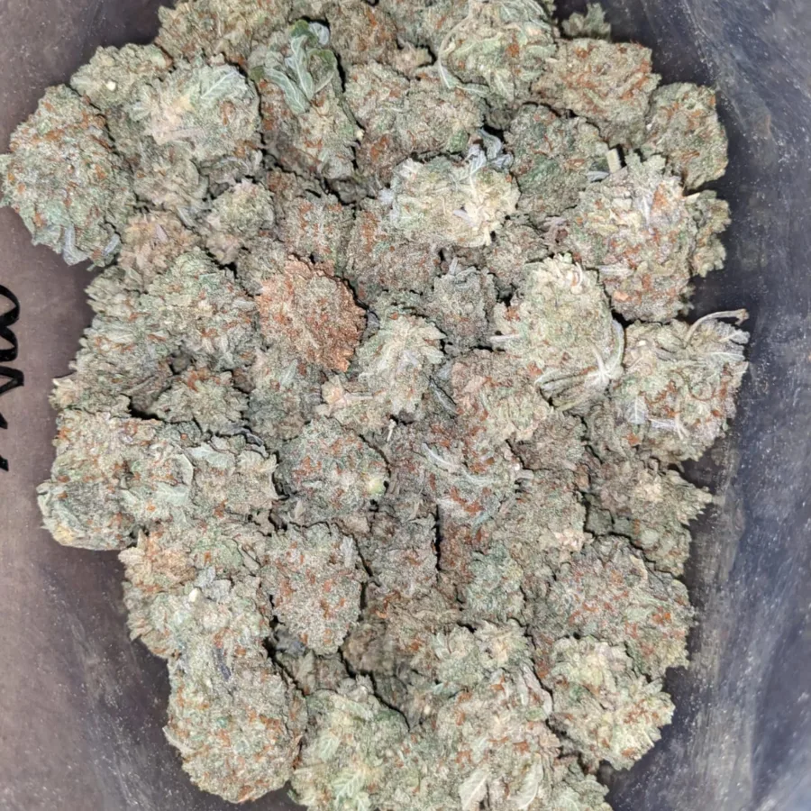 Snow White