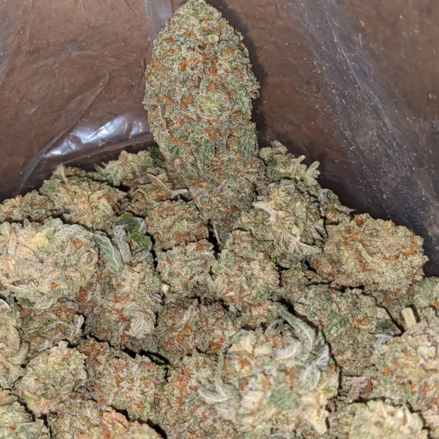 Snow White - Image 5