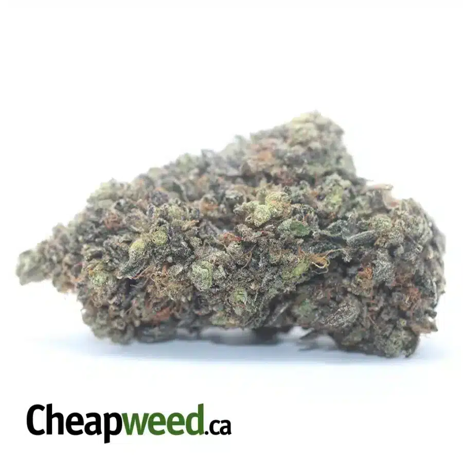 Tony's MK Ultra