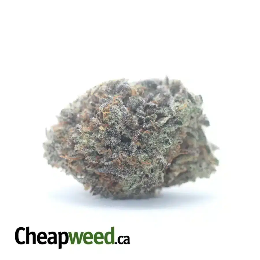 Tuna Kush AAA