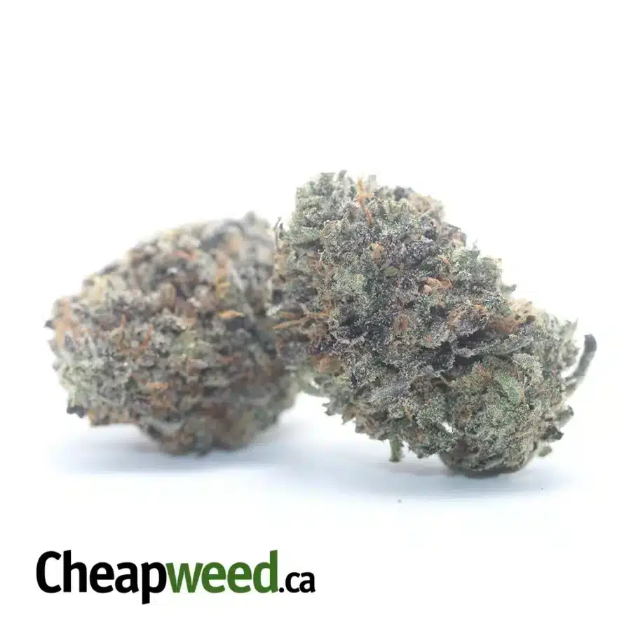 Alternative view of Tuna Kush AAA