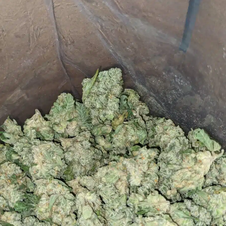 The Joker Smalls 2 I The Joker (Smalls)