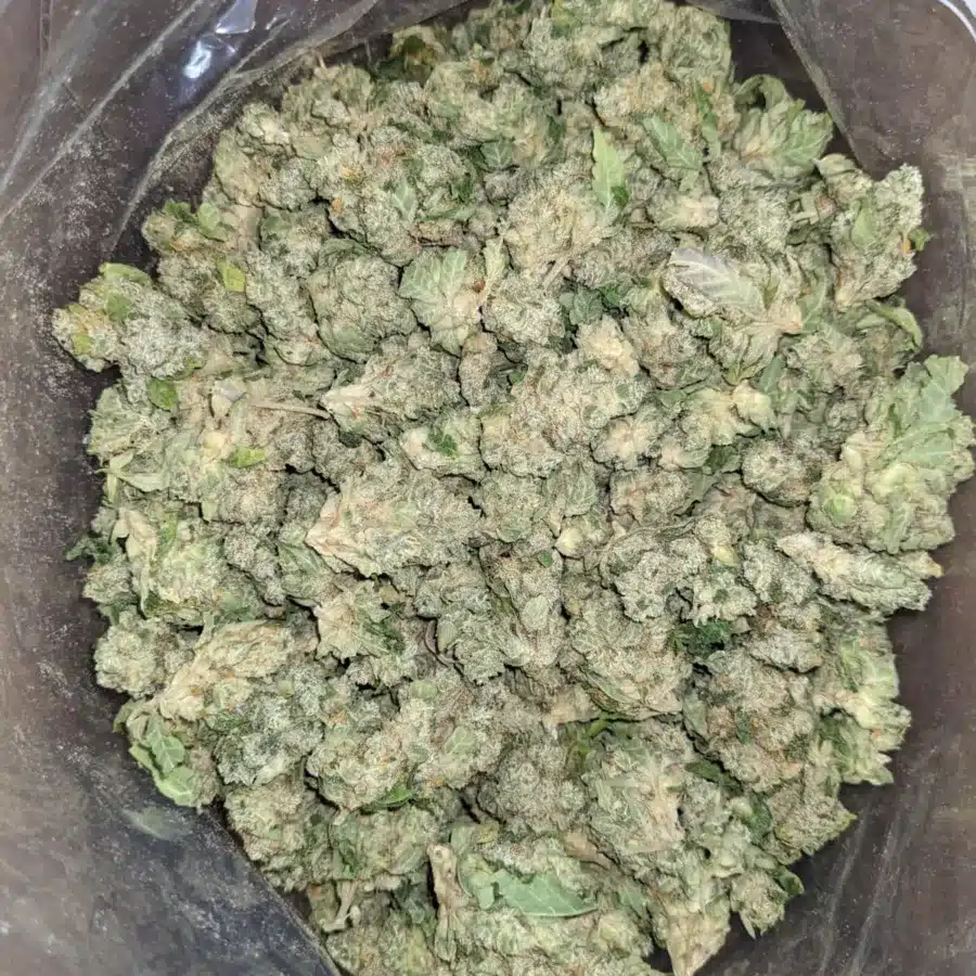 Alternative view of The Joker (Smalls)